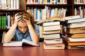Higher Education